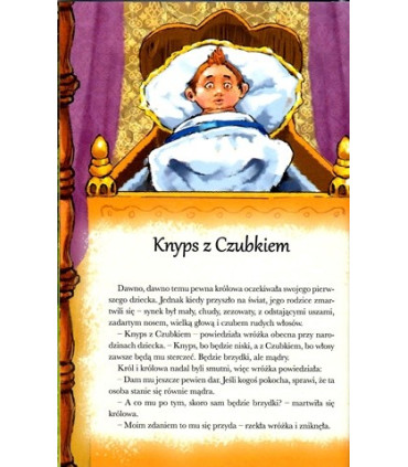 Baśnie - Charles Perrault (miękka oprawa)