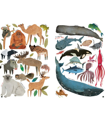 Tak wiele rzeczy. So Many Things