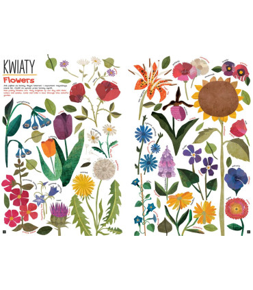 Tak wiele rzeczy. So Many Things