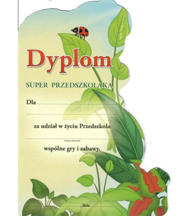 Dyplom wykrawany k-134 Super Przedszkolaka