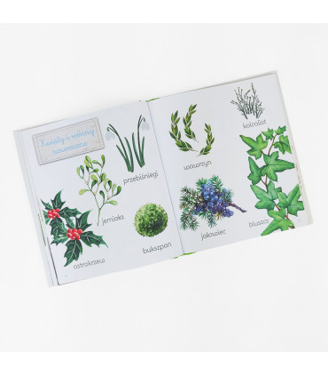 Obrazkowa księga przyrody. Montessori