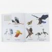 Obrazkowa księga przyrody. Montessori