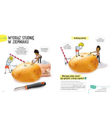 Ziemniak. Przygody z nauką. Akademia mądrego dziecka
