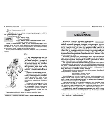 Wybór nowel. Henryk Sienkiewicz