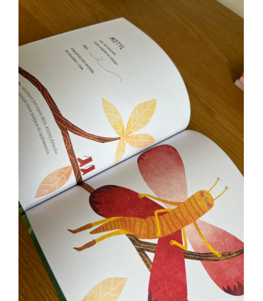 Wierszyki paluszkowe