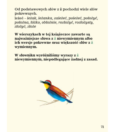 Ortografia w wierszykach Ż