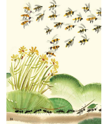 Ortografia w wierszykach Ó