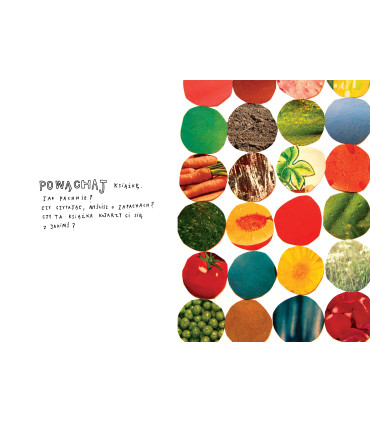 Wykończ tę książkę. Jak zakumplować się z książką z obrazkami