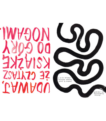 Wykończ tę książkę. Jak zakumplować się z książką z obrazkami