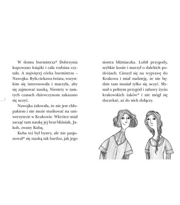 Tajemnica Nawojki. Czytam sobie. Poziom 3