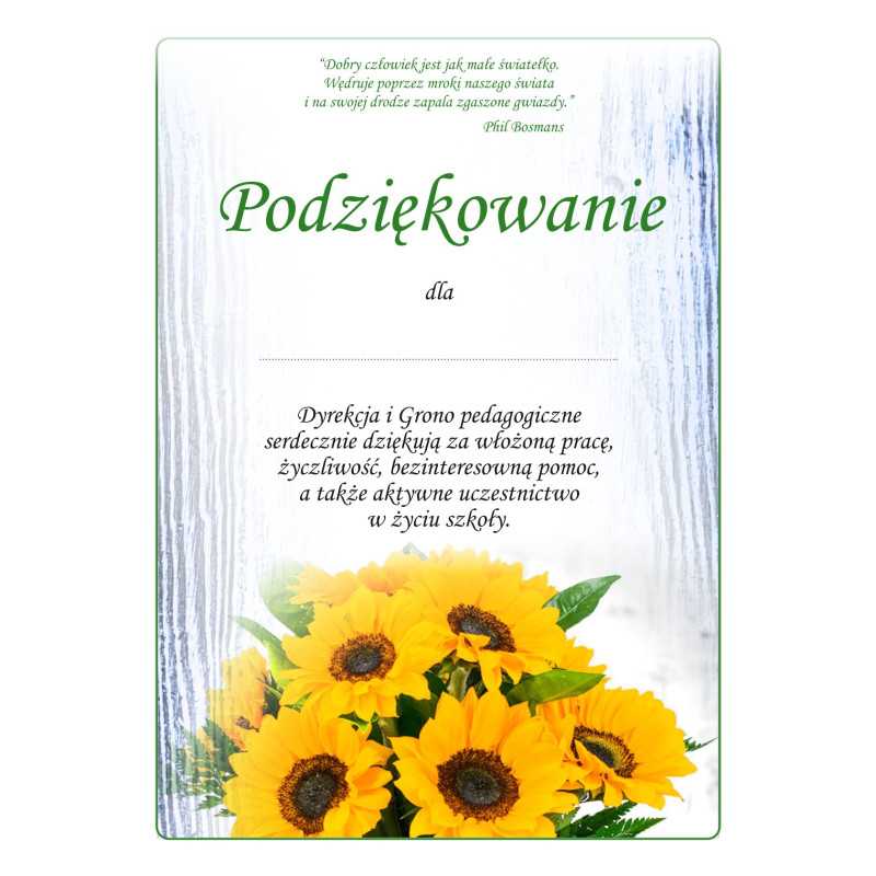 Podziękowanie - dyplom P4-101