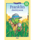 Franklin detektywem
