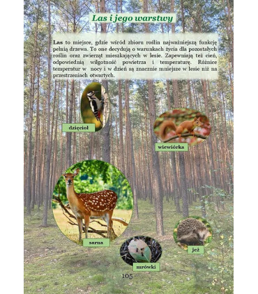 Trzecia klaso. Nadchodzę! Ćwiczenia