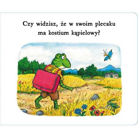 Pan Żabka na wycieczce