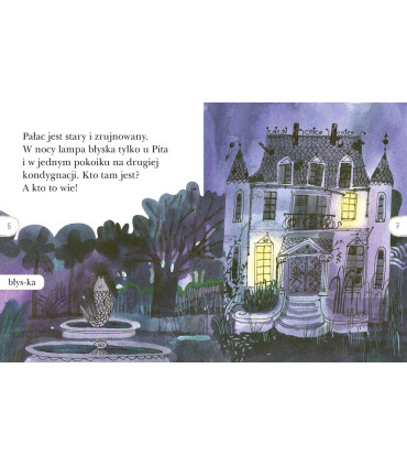 Pan Pit i jego kwiatek. Czytam sobie. Poziom 2