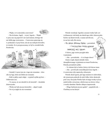 Zagadka Łysej Góry. Detektywi z Tajemniczej 5 kontra duchy. Tom 5