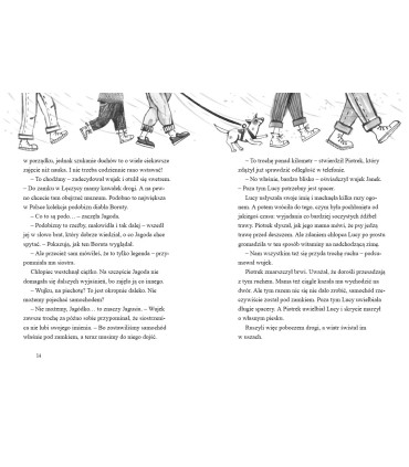 Zagadka diabła Boruty. Detektywi z Tajemniczej 5 kontra duchy. Tom 6