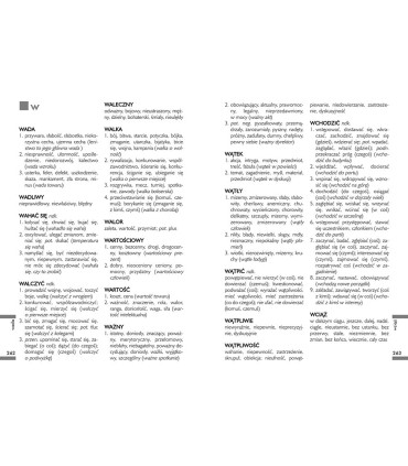 Słownik wyrazów bliskoznacznych
