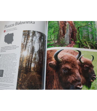 Polska. Podróże marzeń. Album