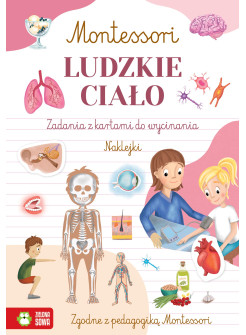 Ludzkie ciało. Montessori