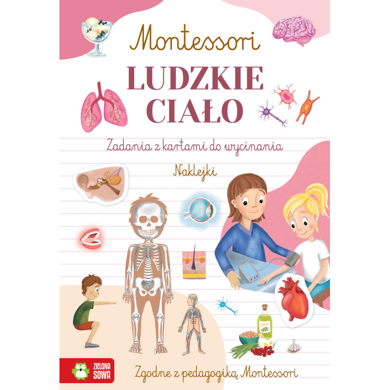 Ludzkie ciało. Montessori Ludzkie ciało. Montessori