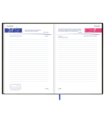 Debeściak. Kalendarz książkowy 2026 dzienny