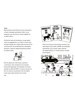 Dziennik cwaniaczka. Ryzyk-fizyk