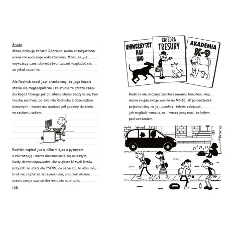 Dziennik cwaniaczka. Ryzyk-fizyk