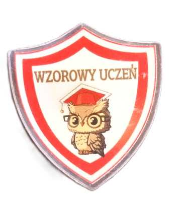 Wzorowy uczeń- tarcza. Odznaka E-300