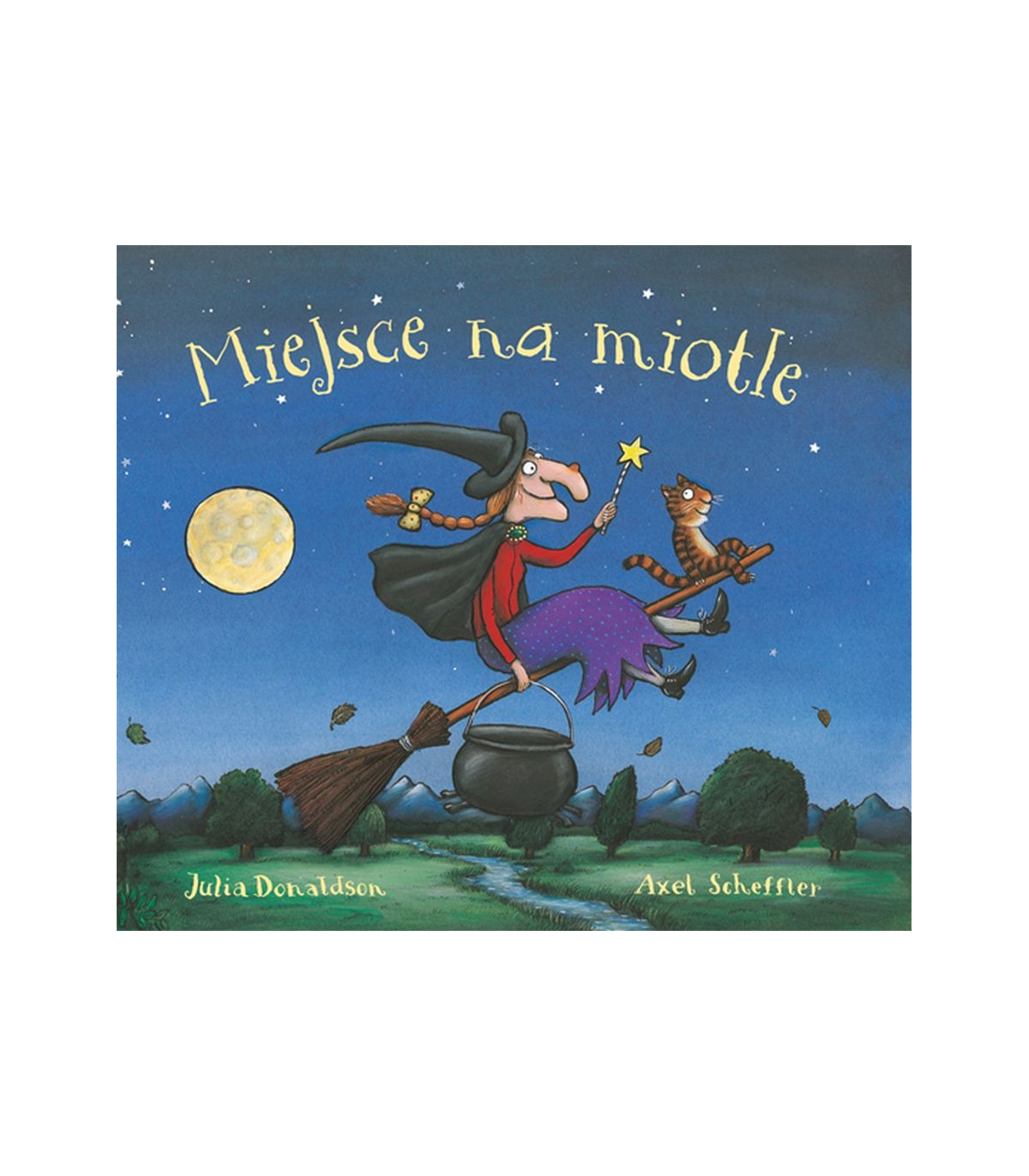 Miejsce na miotle