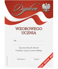 Dyplom wzorowego ucznia S-642