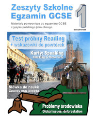 Zeszyty szkolne 1. GCSE in Polish