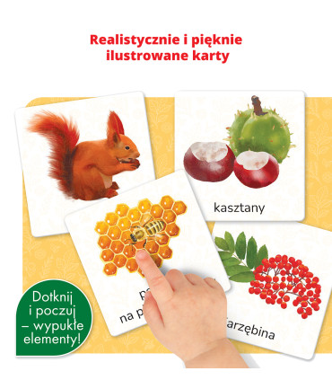 Przyroda. Karty sensoryczne. Montessori