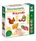 Przyroda. Karty sensoryczne. Montessori