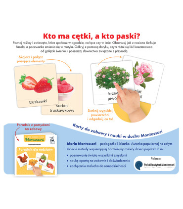 Przyroda. Karty sensoryczne. Montessori