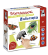 Zwierzęta. Karty sensoryczne. Montessori