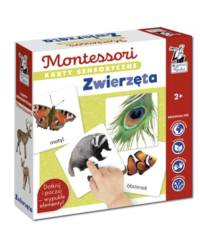 Zwierzęta. Karty sensoryczne. Montessori