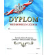 Dyplom wzorowego ucznia S-606