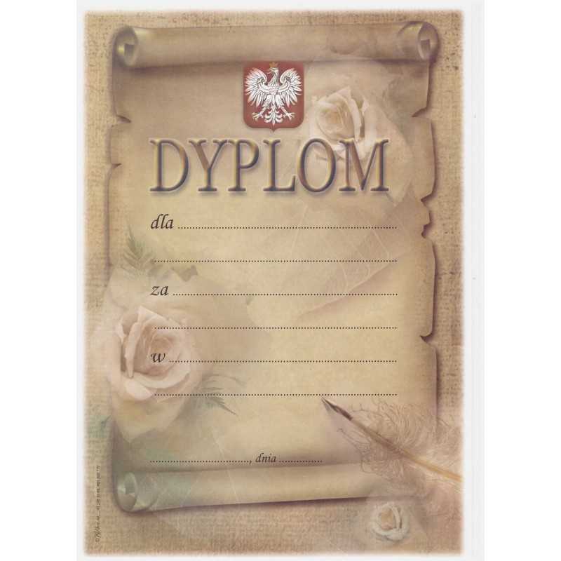 Dyplom Uniwersalny - S-453 Dyplom Uniwersalny - S-453
