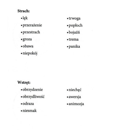 Poznajemy emocje - strach i wstręt - zestaw 4