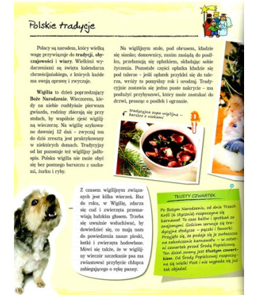 Poznaj swój kraj - Polska moja ojczyzna