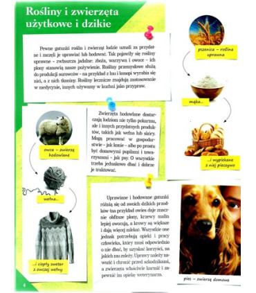 Poznaj swój kraj - Polska przyroda