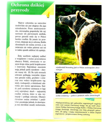 Poznaj swój kraj - Polska przyroda