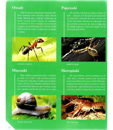 Poznaj swój kraj - Polska przyroda