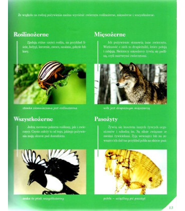 Poznaj swój kraj - Polska przyroda