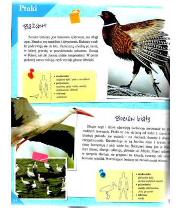Poznaj swój kraj - Polska przyroda