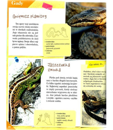 Poznaj swój kraj - Polska przyroda