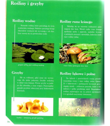 Poznaj swój kraj - Polska przyroda