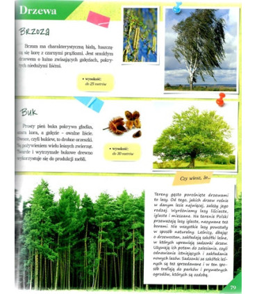 Poznaj swój kraj - Polska przyroda