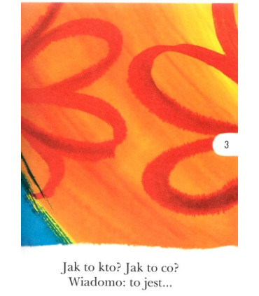 Franek i miotła motorowa - Czytam Sobie - Poziom 1